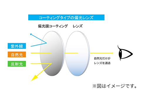 コーティングタイプ偏光レンズの仕組み