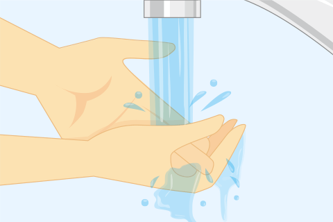 手や爪を洗う