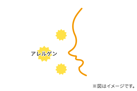 アレルゲンが目に入るイメージイラスト