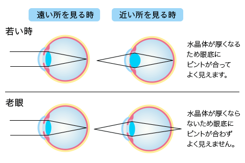 老眼になった際の見え方説明イメージ