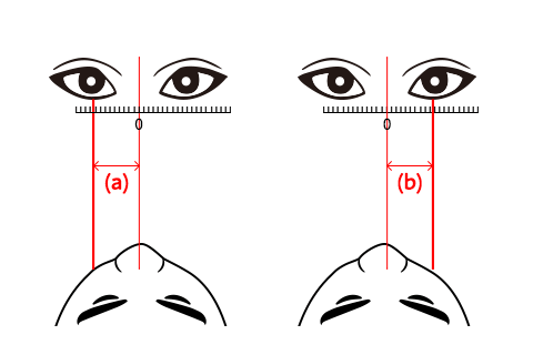 瞳孔間距離（PD）を測定する方法-メジャー