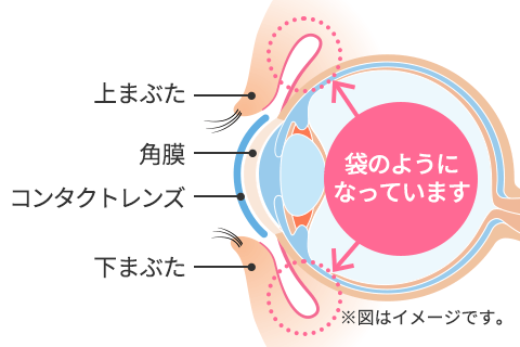 目の構造のイメージ