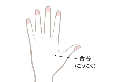 合谷の場所のイメージ