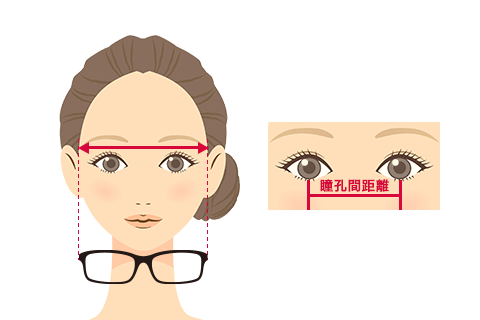 瞳孔間距離と顔幅バランスのイメージ