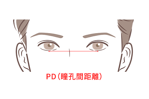 ブリッジ幅と目のバランスイメージ図